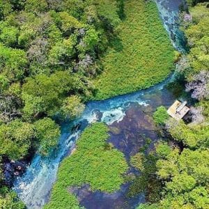 É verdade que Bonito tem Sucuri nos rios? É verdade que Bonito tem Sucuri nos rios?