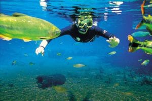 Quantos passeios de flutuação tem em Bonito? Quais são eles ? Quantos passeios de flutuação tem em Bonito? Quais são eles ?