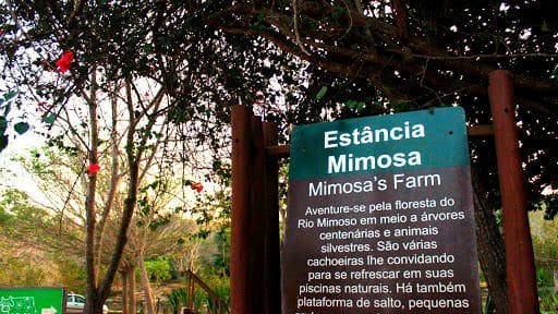 Estância Mimosa: o que fazer, como chegar e como funciona Estância Mimosa: o que fazer, como chegar e como funciona