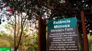 Estância Mimosa: o que fazer, como chegar e como funciona Estância Mimosa: o que fazer, como chegar e como funciona
