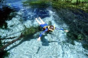Como funciona o passeio do Rio Sucuri em Bonito? Como funciona o passeio do Rio Sucuri em Bonito?