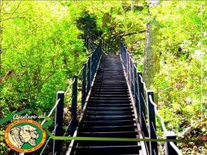 Veja as diferenças entre os passeios de trilhas e cachoeiras da Boca da Onça Veja as diferenças entre os passeios de trilhas e cachoeiras da Boca da Onça