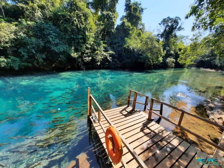 Explorando os passeios de Bonito, a alegria nos caminhos do Rio da Prata! Explorando os passeios de Bonito, a alegria nos caminhos do Rio da Prata!