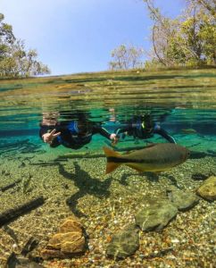 Qual a idade mínima para fazer a flutuação no Rio da Prata? Qual a idade mínima para fazer a flutuação no Rio da Prata?