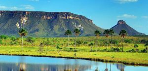 Lugares bonitos para conhecer no Brasil Lugares bonitos para conhecer no Brasil