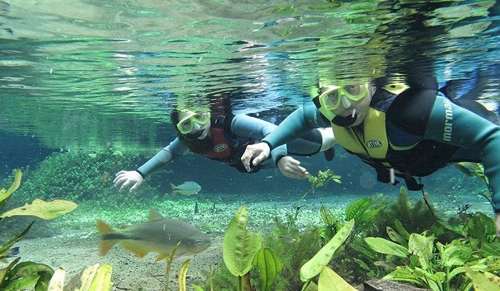Bonito MS: os melhores pacotes de viagem em 2025 Bonito MS: os melhores pacotes de viagem em 2025