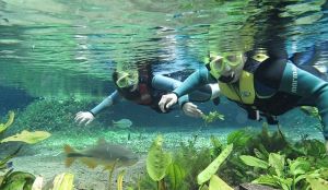 Bonito MS: os melhores pacotes de viagem em 2025 Bonito MS: os melhores pacotes de viagem em 2025