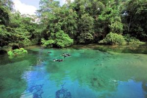 Onde nasce o rio da Prata MS Onde nasce o rio da Prata MS