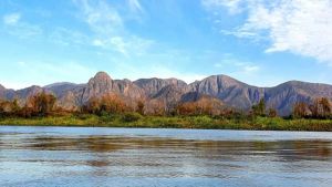 Qual a melhor época para ir ao Pantanal Qual a melhor época para ir ao Pantanal