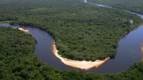 Pantanal do Rio Negro Pantanal do Rio Negro