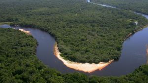 Pantanal do Rio Negro Pantanal do Rio Negro