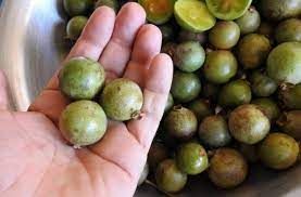 Guavira: do cerrado de Bonito para o mundo Guavira: do cerrado de Bonito para o mundo