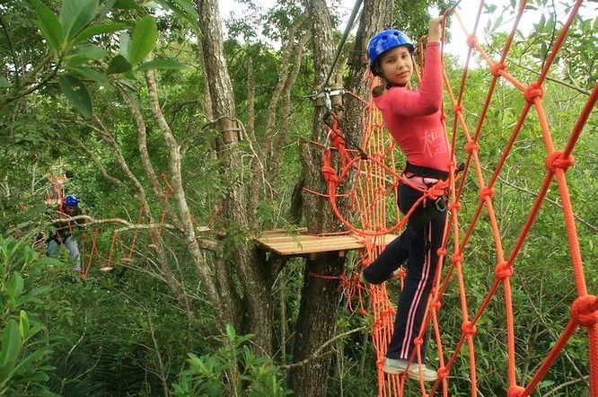 Saiba tudo sobre o Arvorismo e venha se aventurar em Bonito Saiba tudo sobre o Arvorismo e venha se aventurar em Bonito