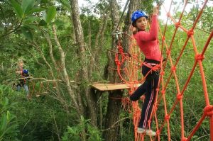 Saiba tudo sobre o Arvorismo e venha se aventurar em Bonito Saiba tudo sobre o Arvorismo e venha se aventurar em Bonito