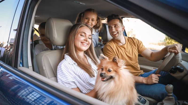 Como Encontrar Promoções de Passeios em Bonito Como Encontrar Promoções de Passeios em Bonito