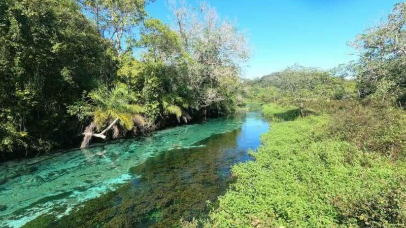 Bonito MS é seguro? Bonito MS é seguro?