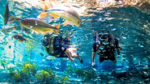 Como Funcionam as Agências de Turismo em Bonito? Como Funcionam as Agências de Turismo em Bonito?