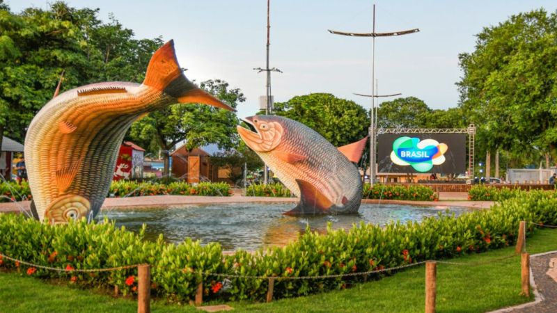 Bonito em dezembro Bonito em dezembro