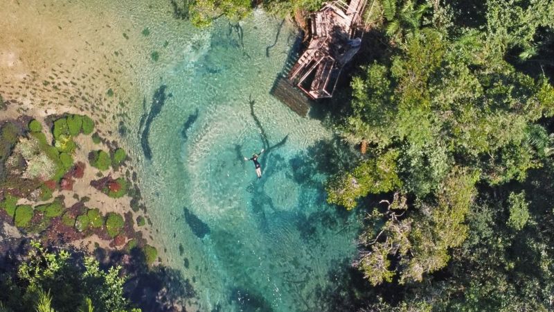 Qual a diferença entre o Rio Sucuri e o Rio da Prata em Bonito? Qual a diferença entre o Rio Sucuri e o Rio da Prata em Bonito?