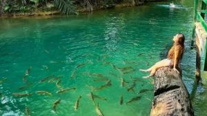 5 motívos plausíveis para realizar sua viagem a Bonito MS na baixa temporada 5 motívos plausíveis para realizar sua viagem a Bonito MS na baixa temporada