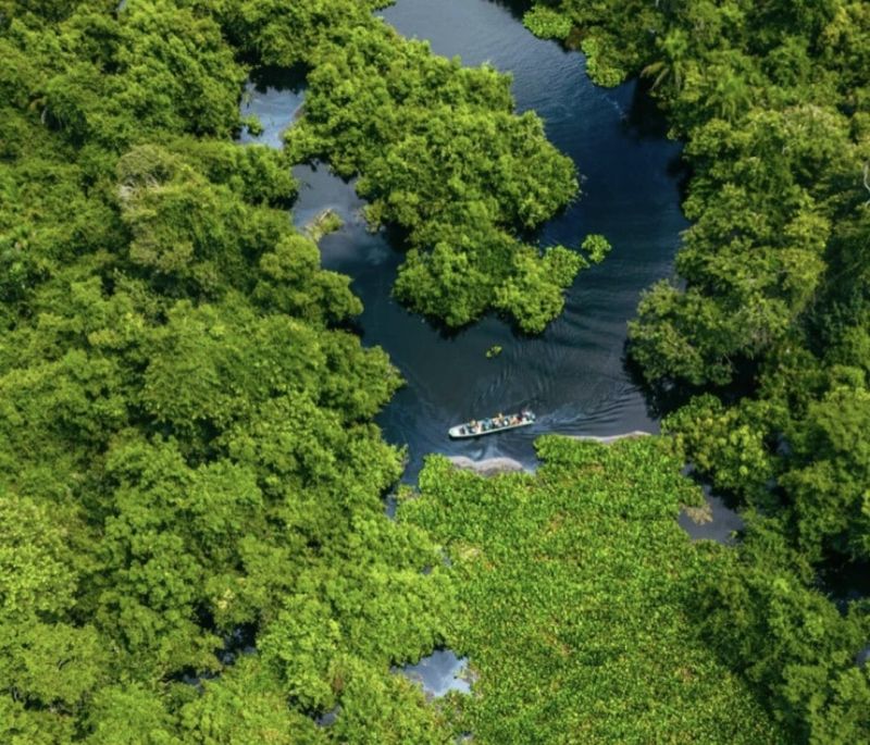 Roteiro Pantanal Completo: Dicas do que você precisa saber Roteiro Pantanal Completo: Dicas do que você precisa saber