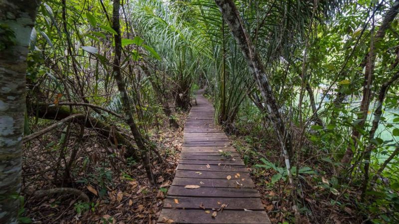 Caminhadas e Trilhas em Bonito, MS: Descubra a Beleza Natural a Pé Caminhadas e Trilhas em Bonito, MS: Descubra a Beleza Natural a Pé