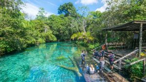 Ecoturismo no Brasil: Destinos Imperdíveis para os Amantes da Natureza Ecoturismo no Brasil: Destinos Imperdíveis para os Amantes da Natureza