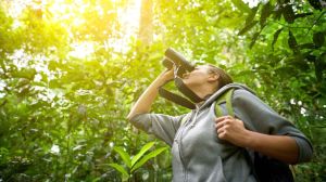 Birdwatching no Brasil: Destinos Imperdíveis para Observação de Aves Birdwatching no Brasil: Destinos Imperdíveis para Observação de Aves