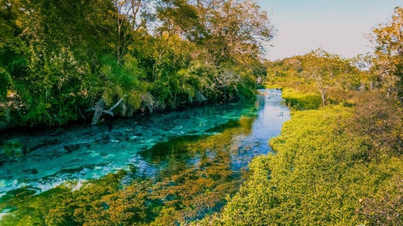 Quando faz frio em Bonito? Quando faz frio em Bonito?