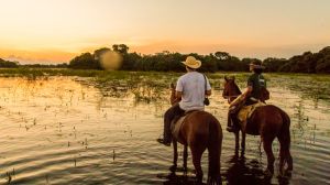Como ir de Bonito para o Pantanal? Como ir de Bonito para o Pantanal?