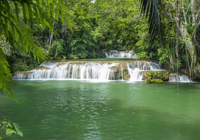 Descubra o Paraíso das Cachoeiras em Bonito/MS: Um Guia Completo Descubra o Paraíso das Cachoeiras em Bonito/MS: Um Guia Completo