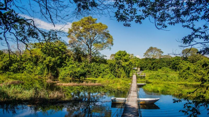 Quanto custa um pacote para o Pantanal? Quanto custa um pacote para o Pantanal?