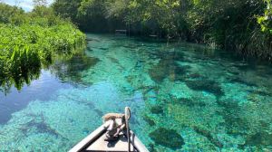 Como conseguir pacotes de viagens mais baratos? Como conseguir pacotes de viagens mais baratos?