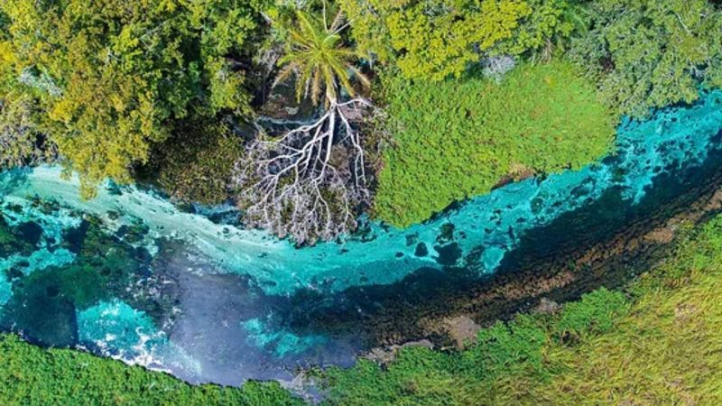 Tudo sobre o Rio Sucuri Tudo sobre o Rio Sucuri