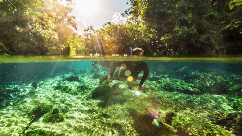 Qual Rio passa em Jardim MS? Qual Rio passa em Jardim MS?