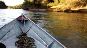 Pesca no Rio Miranda Pesca no Rio Miranda
