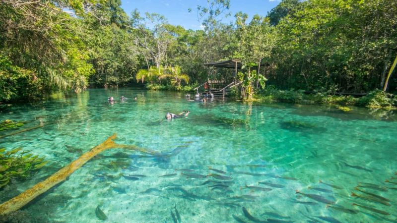 Chapada dos Veadeiros é melhor que Bonito? Chapada dos Veadeiros é melhor que Bonito?
