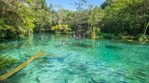 Chapada dos Veadeiros é melhor que Bonito? Chapada dos Veadeiros é melhor que Bonito?