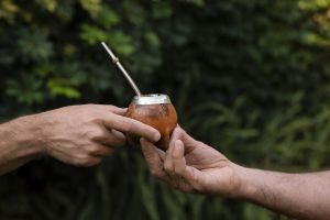 O que é o tereré e por que é tão popular em Bonito? O que é o tereré e por que é tão popular em Bonito?