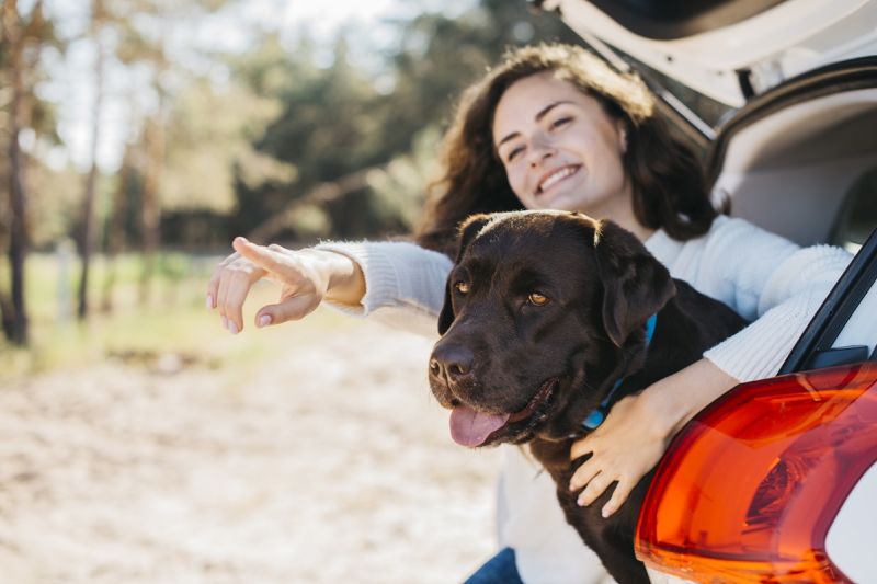 Melhores passeios pet friendly em Bonito para aproveitar com seu animal de estimação Melhores passeios pet friendly em Bonito para aproveitar com seu animal de estimação