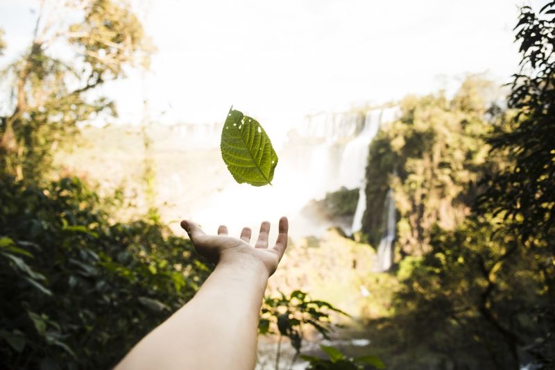 Como Bonito lida com a preservação dos recursos naturais? Como Bonito lida com a preservação dos recursos naturais?
