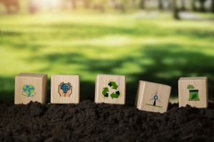 Como Bonito lida com a preservação dos recursos naturais? Como Bonito lida com a preservação dos recursos naturais?