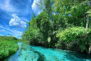 Lugares para viajar: motivos que fazem de Bonito um destino imperdível no Brasil Lugares para viajar: motivos que fazem de Bonito um destino imperdível no Brasil