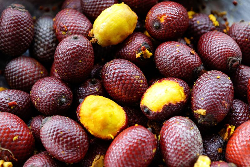 Frutas do Cerrado: os sabores exóticos de Bonito e região Frutas do Cerrado: os sabores exóticos de Bonito e região