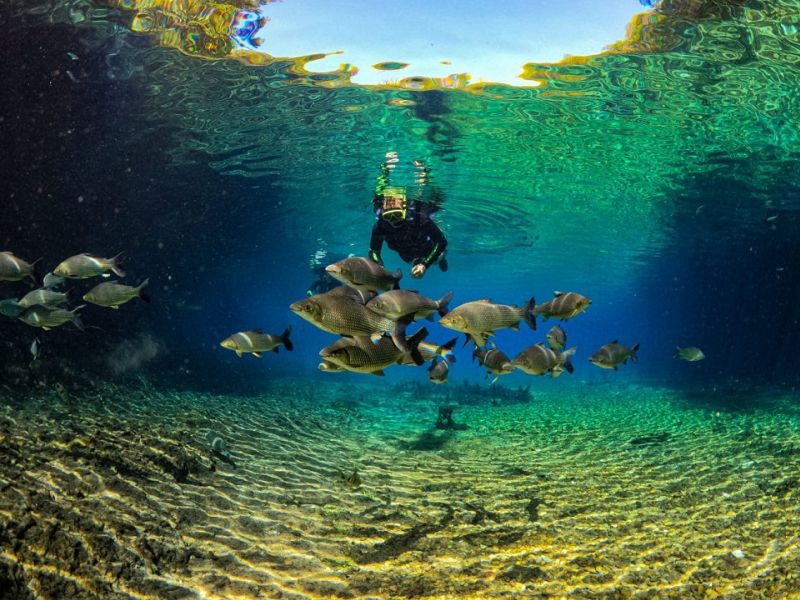 Bonito e Pantanal
