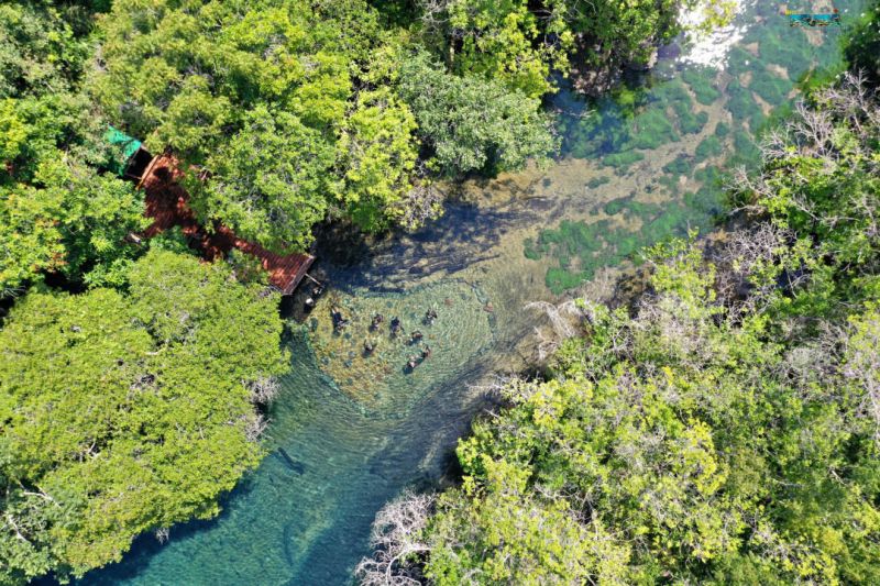 Bonito e Pantanal