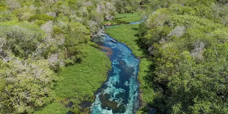 Flutuação - Rio Sucuri Flutuação - Rio Sucuri