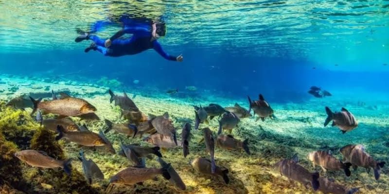 Flutuao: Recanto Ecolgico Rio da Prata