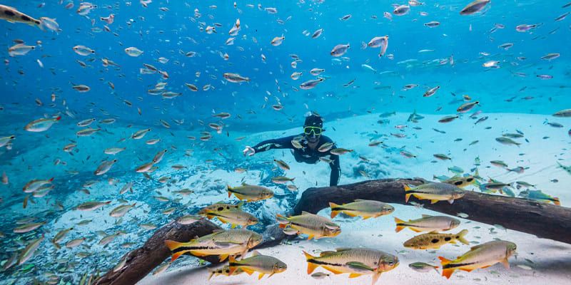 Flutuao: Recanto Ecolgico Rio da Prata