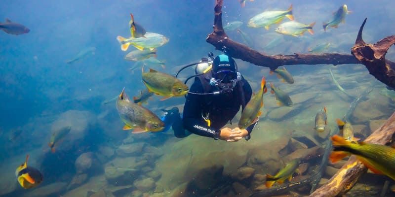 Mergulho Rio da Prata